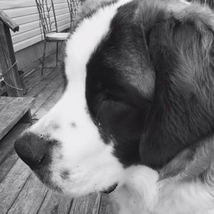 Meet your Posher, Maureen